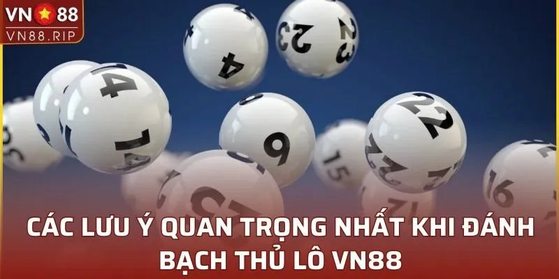 Các lưu ý quan trọng nhất khi đánh bạch thủ lô VN88