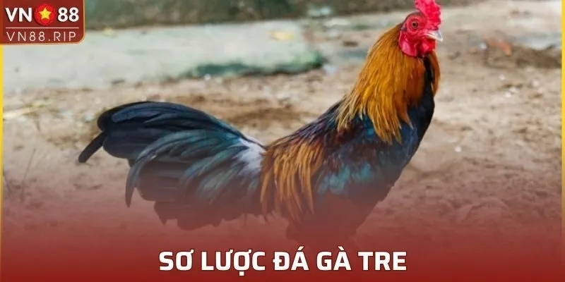 Sơ lược đá gà tre