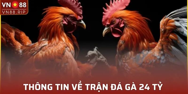 Trận đá gà thu hút hàng ngàn mắt xem